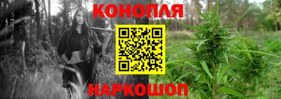 ГАЛЛЮЦИНОГЕННЫЕ ГРИБЫ Будённовск