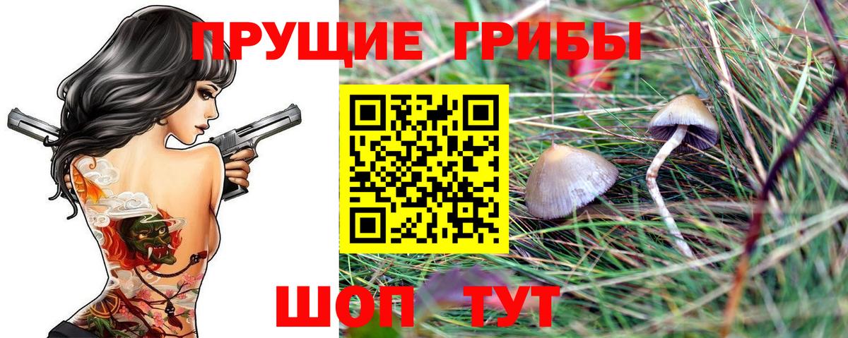 Галлюциногенные грибы ЛСД  Вход с VPN  Ливны 